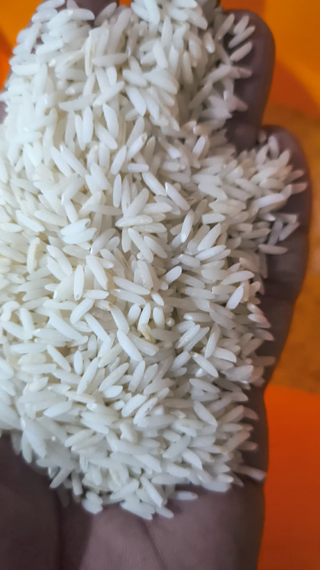 پک برنج رنگی سیاه، قهوهای، سفید از هر برنج یک کیلو